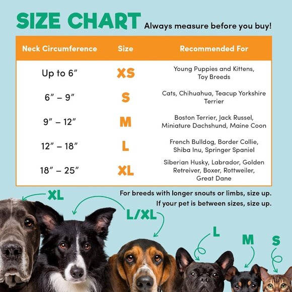 Inflatable dog protective Collar Soft Pet Recovery Large cone alternative - Picture 5 of 9